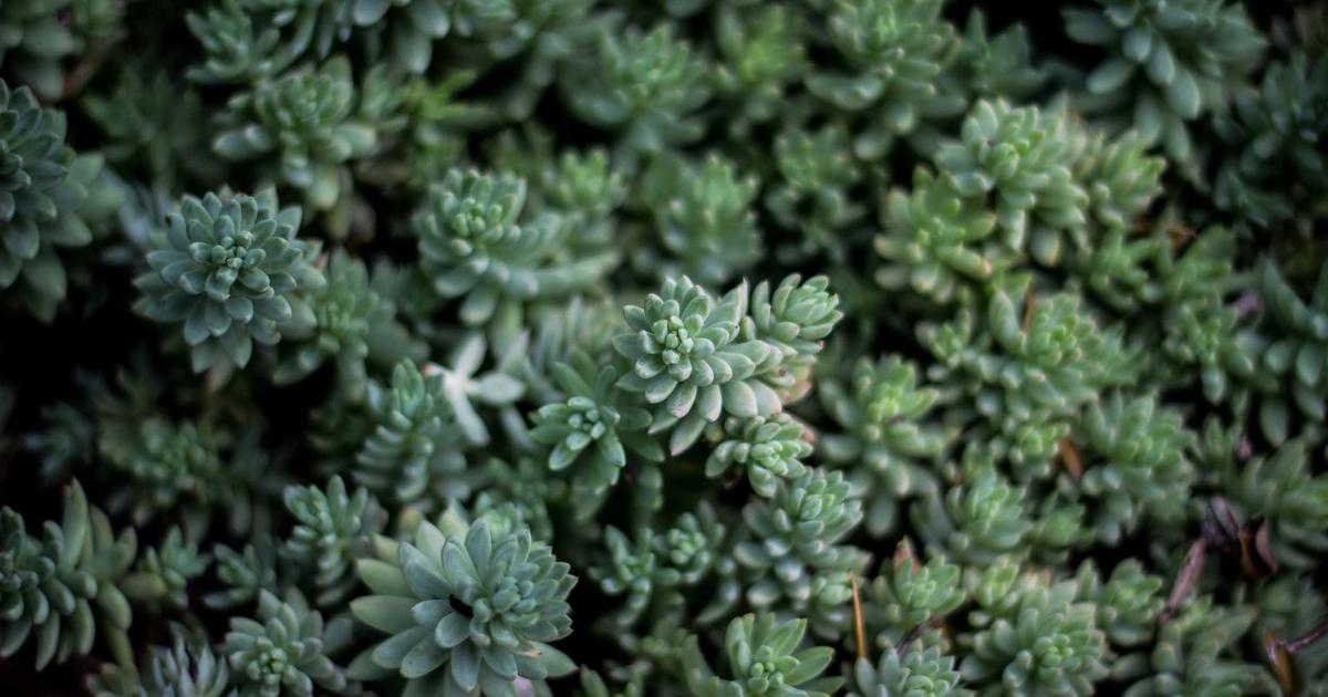 Evaluating AI Sentiment Analysis Accuracy: I Analyzed 5,000 Product Reviews Across Amazon, Yelp, and Reddit with Four Different APIs