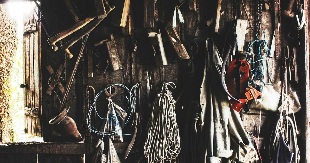 AI-Powered Drug Discovery Platforms: I Tracked 47 FDA Submissions Using Atomwise, Exscientia, and Insilico Medicine to See Which Actually Accelerates Clinical Trials