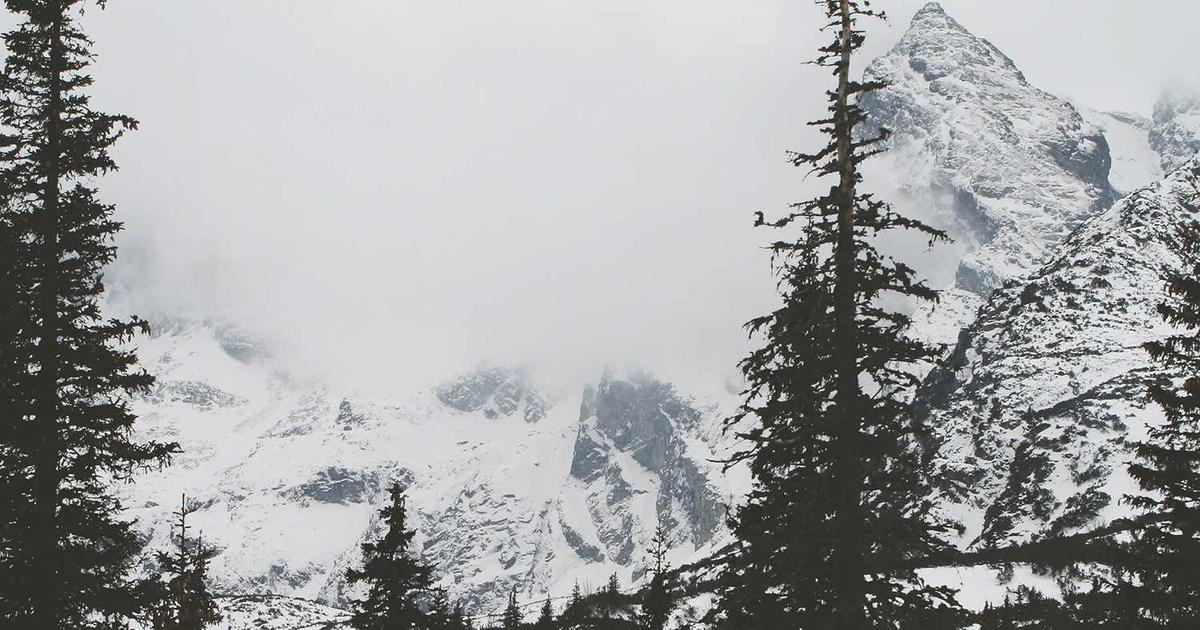 Adversarial Attacks on Computer Vision Models: I Fooled Tesla Autopilot, Google Lens, and Amazon Rekognition with Stickers and Makeup