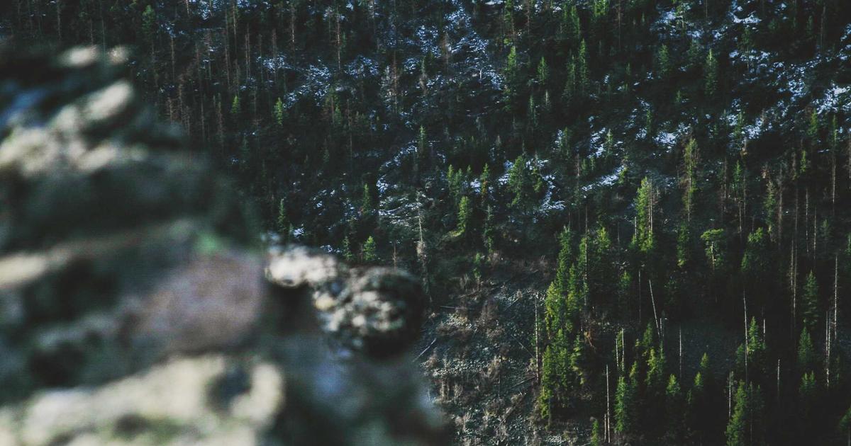 AI-Powered Drug Discovery Platforms: I Watched Recursion Pharmaceuticals Screen 2.2 Trillion Chemical Interactions in 18 Months