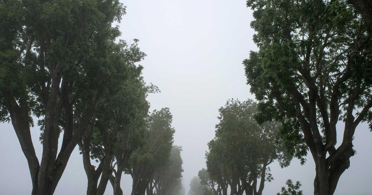 Neural Architecture Search on a Budget: I Automated Model Design for 12 Computer Vision Tasks Using AutoKeras and NAS-Bench-201