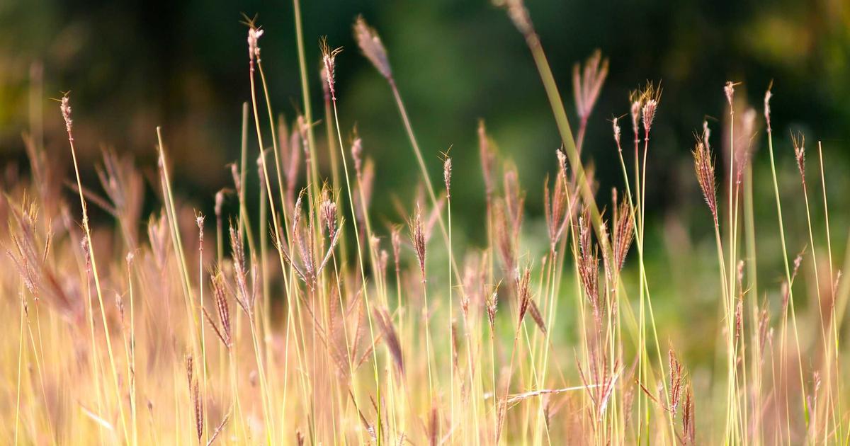 Deploying Llama 3.1 on Your Own Server: A Real-World Cost Analysis After 6 Months of Production Use