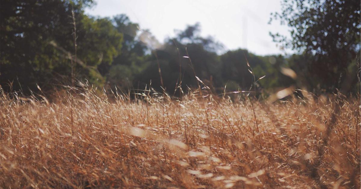 Synthetic Data Generation for Machine Learning: I Created 100,000 Training Examples Using Gretel, Mostly AI, and CTGAN